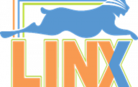 Linx Logo