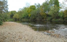 Calapooia River