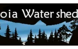 CWC Logo