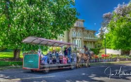 Moyer House Carriage