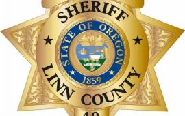 Sheriff Yon Badge Logo