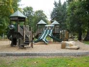 Pioneer Park Playground