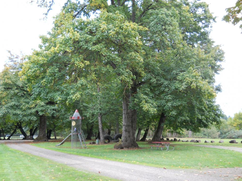 Pioneer Park Brownsville Oregon Events 2022